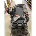 DETROIT DIESEL DD13 Engine Assembly thumbnail 6
