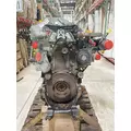 DETROIT DIESEL DD13 Engine Assembly thumbnail 2