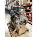 DETROIT DIESEL DD13 Engine Assembly thumbnail 6