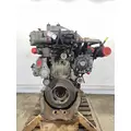 DETROIT DIESEL DD13 Engine Assembly thumbnail 1
