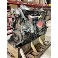 DETROIT DIESEL DD13 Engine Assembly thumbnail 2