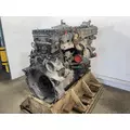 DETROIT DIESEL DD13 Engine Assembly thumbnail 10