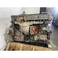 DETROIT DIESEL DD13 Engine Assembly thumbnail 6