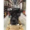 DETROIT DIESEL DD13 Engine Assembly thumbnail 1
