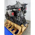 DETROIT DIESEL DD13 Engine Assembly thumbnail 3