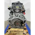 DETROIT DIESEL DD13 Engine Assembly thumbnail 6