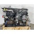 DETROIT DIESEL DD13 Engine Assembly thumbnail 8