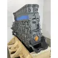 DETROIT DIESEL DD13 Engine Assembly thumbnail 3