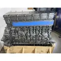 DETROIT DIESEL DD13 Engine Assembly thumbnail 4