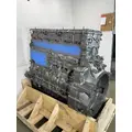 DETROIT DIESEL DD13 Engine Assembly thumbnail 8