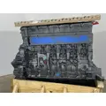 DETROIT DIESEL DD13 Engine Assembly thumbnail 3