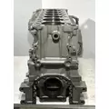 DETROIT DIESEL DD13 Engine Block thumbnail 3