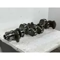 DETROIT DIESEL DD13 Engine Crankshaft thumbnail 1