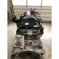 DETROIT DIESEL DD13 Engine thumbnail 5