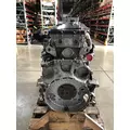 DETROIT DIESEL DD13 Engine thumbnail 2