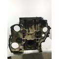 DETROIT DIESEL DD15 Cylinder Block thumbnail 4