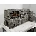 DETROIT DIESEL DD15 Cylinder Block thumbnail 2