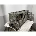 DETROIT DIESEL DD15 Cylinder Block thumbnail 1