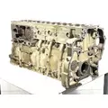 DETROIT DIESEL DD15 Cylinder Block thumbnail 1