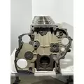 DETROIT DIESEL DD15 Cylinder Block thumbnail 2