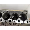 DETROIT DIESEL DD15 Cylinder Block thumbnail 8