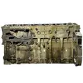 DETROIT DIESEL DD15 Cylinder Block thumbnail 13