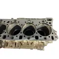 DETROIT DIESEL DD15 Cylinder Block thumbnail 18