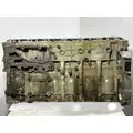 DETROIT DIESEL DD15 Cylinder Block thumbnail 3