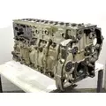 DETROIT DIESEL DD15 Cylinder Block thumbnail 1