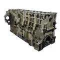 DETROIT DIESEL DD15 Cylinder Block thumbnail 10