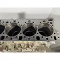 DETROIT DIESEL DD15 Cylinder Block thumbnail 8