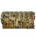 DETROIT DIESEL DD15 Cylinder Block thumbnail 1