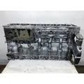 DETROIT DIESEL DD15 Cylinder Block thumbnail 5