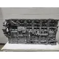 DETROIT DIESEL DD15 Cylinder Block thumbnail 2
