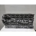 DETROIT DIESEL DD15 Cylinder Block thumbnail 2