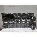 DETROIT DIESEL DD15 Cylinder Block thumbnail 4