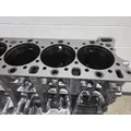 DETROIT DIESEL DD15 Cylinder Block thumbnail 7