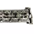 DETROIT DIESEL DD15 Cylinder Head thumbnail 8