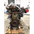 DETROIT DIESEL DD15 Engine Assembly thumbnail 2