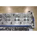 DETROIT DIESEL DD15 Engine Assembly thumbnail 8