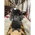 DETROIT DIESEL DD15 Engine Assembly thumbnail 1
