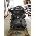DETROIT DIESEL DD15 Engine Assembly thumbnail 8