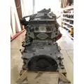 DETROIT DIESEL DD15 Engine Assembly thumbnail 2