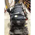 DETROIT DIESEL DD15 Engine Assembly thumbnail 6