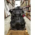 DETROIT DIESEL DD15 Engine Assembly thumbnail 2