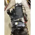 DETROIT DIESEL DD15 Engine Assembly thumbnail 6