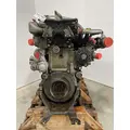 DETROIT DIESEL DD15 Engine Assembly thumbnail 2