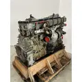 DETROIT DIESEL DD15 Engine Assembly thumbnail 7