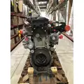 DETROIT DIESEL DD15 Engine Assembly thumbnail 1