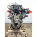 DETROIT DIESEL DD15 Engine Assembly thumbnail 1